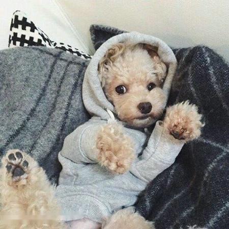 㽭:ɧŵ绰ռ 110ܽӾĳΪЧ